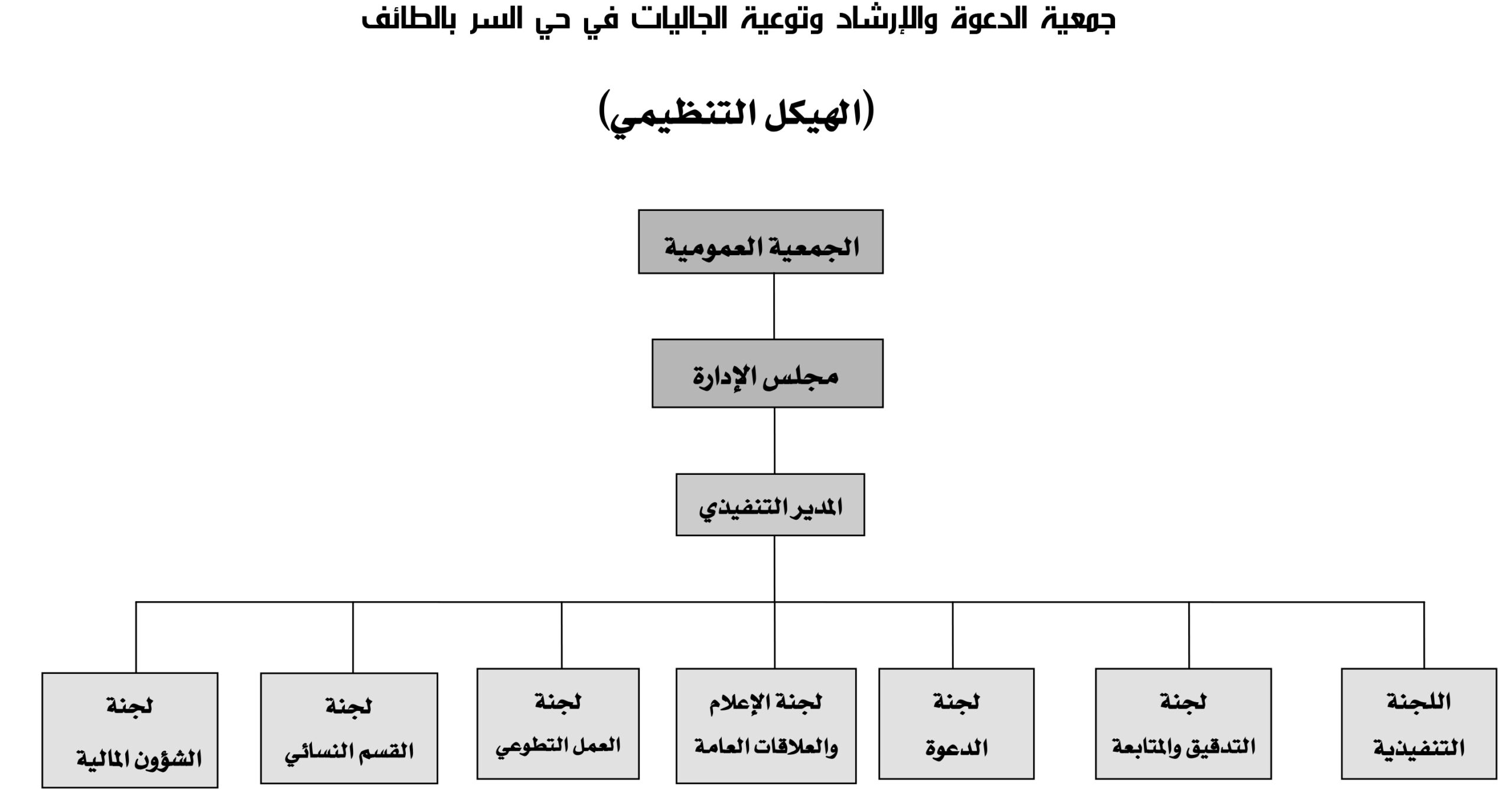 الهيكل التنظيمي scaled